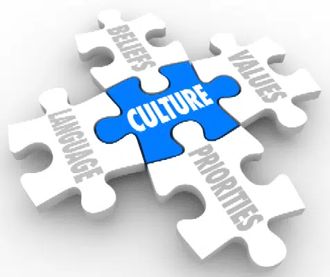 Competency Management Business Case - shape culture