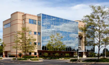 organization_performance