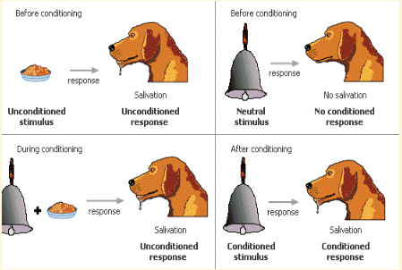 classical conditioning work performance -classical conditioning