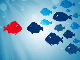 Directive Leadership