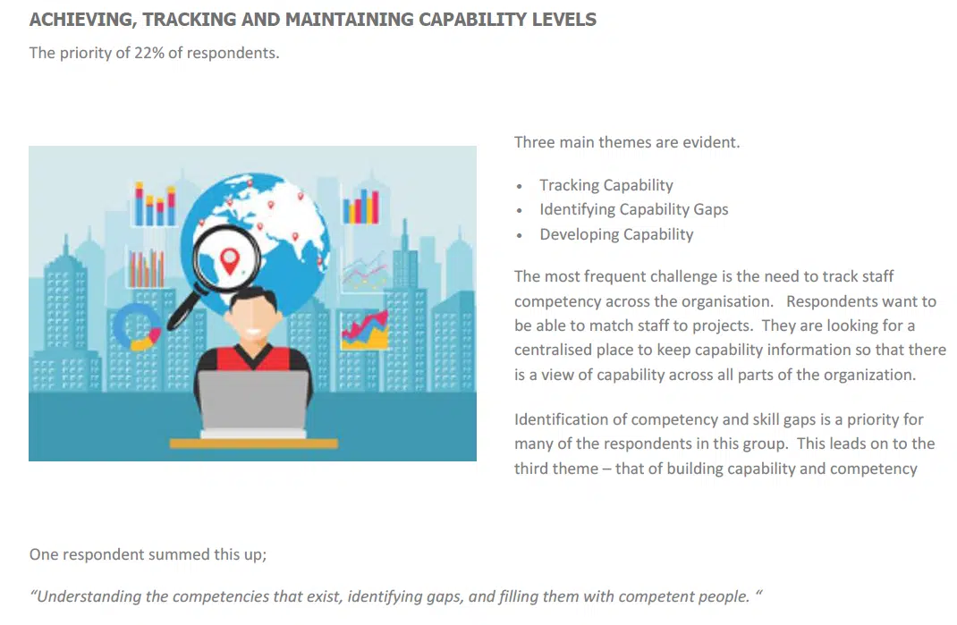capability-challenge-peview