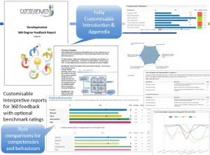 individual 360 feedback report individual 360 feedback report