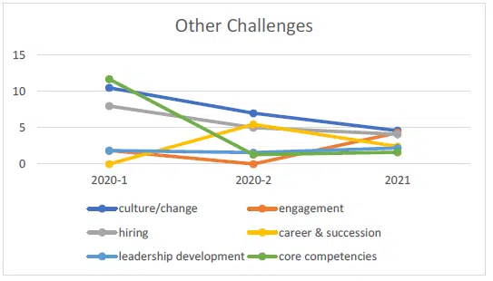 other capability challenges 2021 other capability challenges in 2021