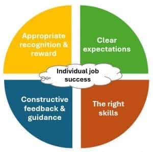 Requirements for individual job success