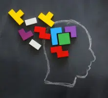 Assessor Cognition & information processing