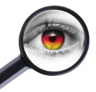 Assessor observation