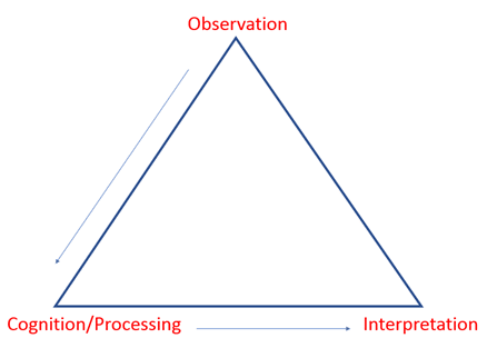 Observer assessment process