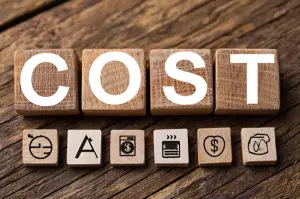 competency management systems cost drivers Competency Management systems cost drivers