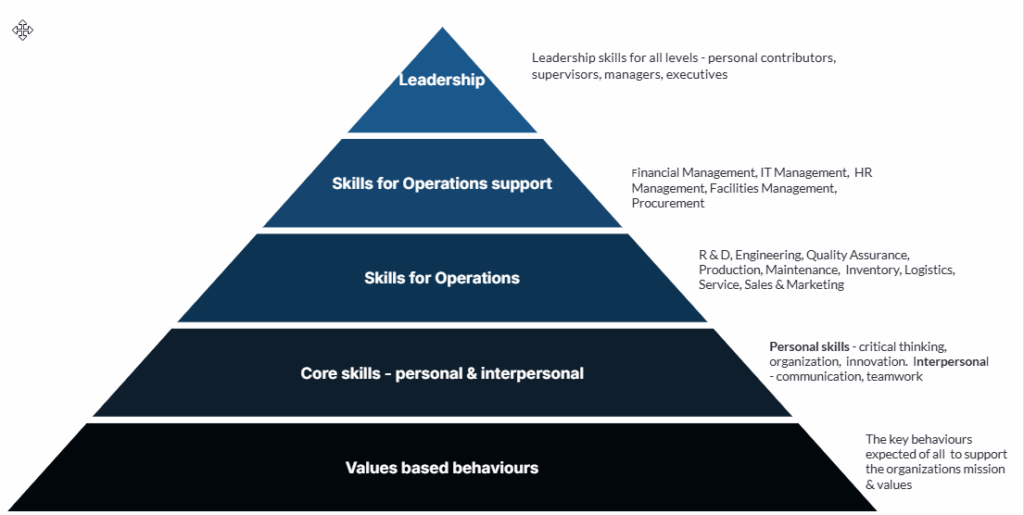 example skills taxonomy overview example skills taxonomy overview