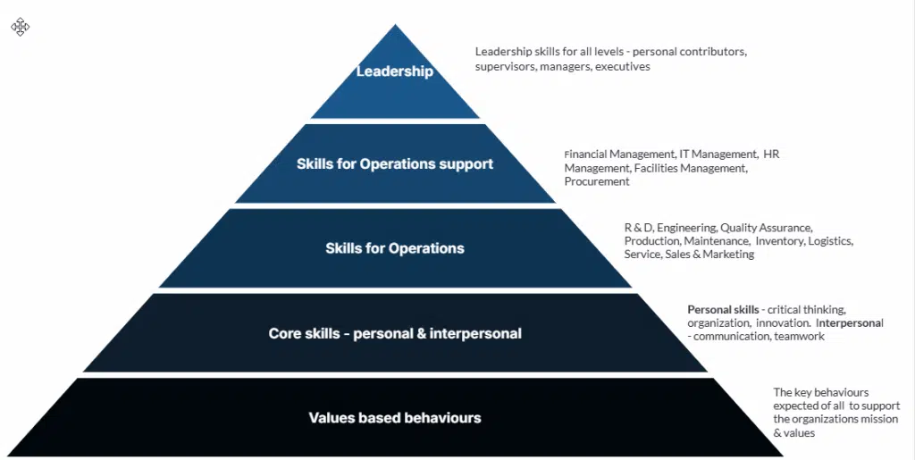 example skills taxonomy overview example skills taxonomy overview
