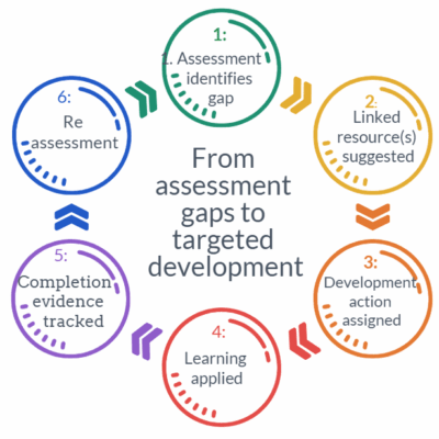 From assessment gaps to targeted development From assessment gaps to targeted development